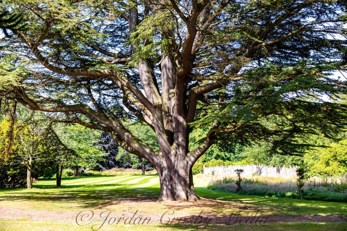 A9255A7B-35A2-4034-85ED-84F4B3658DD1