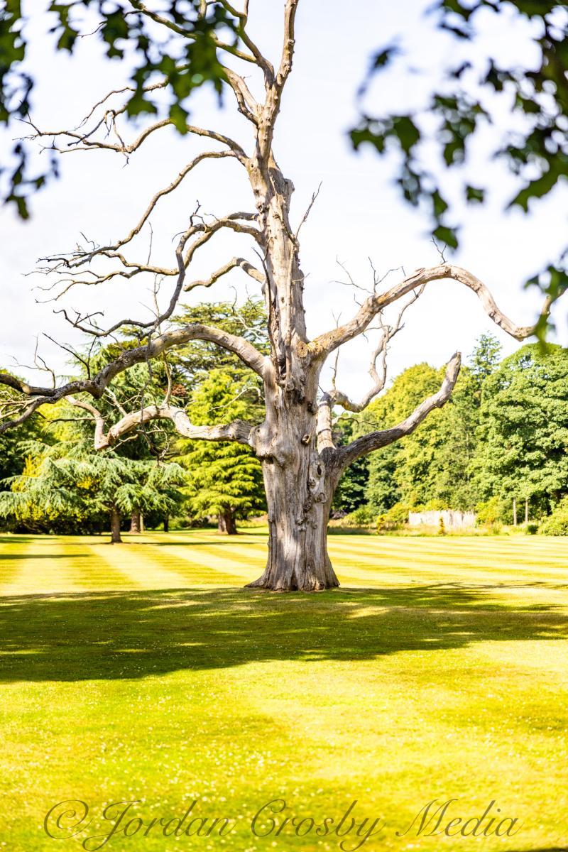 DF7FE002-7447-4FF5-8104-4B7BA98E9466